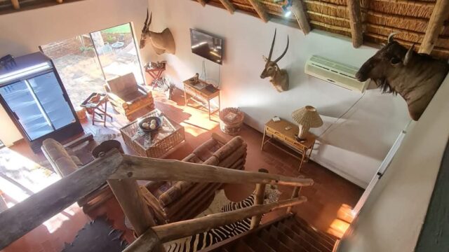 FB_IMG_1741711517488-1