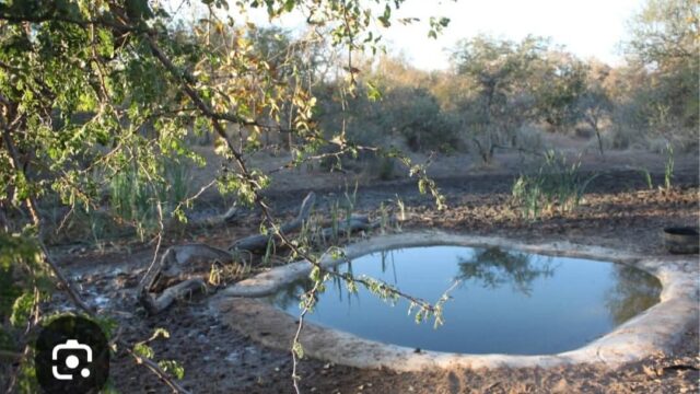 FB_IMG_1741711540903-1