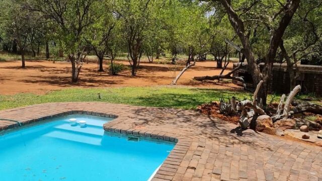 FB_IMG_1741711575552-1