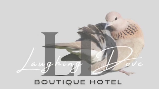 Beige-Minimal-Personal-Make-Up-Artist-Logo_20240801_121659_0000_remastered